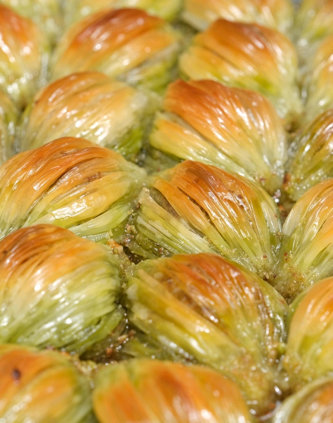 İmam Zeyd Baklava